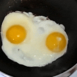말하는 계란 달걀  후라이 수다쟁이 얼굴 모양