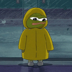 솔로 비오는날 우비 비맞으며 슬개짤 슬픈 개구리 페페 처량 청승 눈물 슬픔