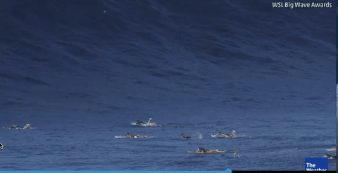 파도 서핑 대형 대박 파도타기 거대한 바다 