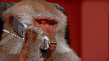 원숭이 전화 휴대폰 받는 장면 심각 신고 전화기