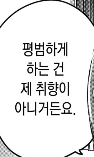 평범하게 하는건 취향이 아니거든요