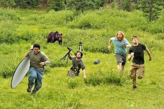 도망 곰 불곰 사진 달려 튀어 도망쳐
