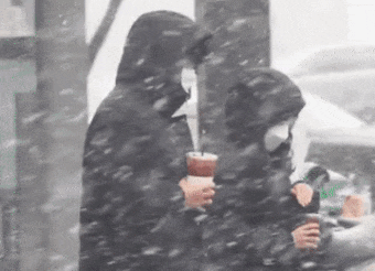얼죽아 레전드 짤방 움짤 얼어죽어도 아이스 아메리카노 겨울 눈보라 어름 추위 커피