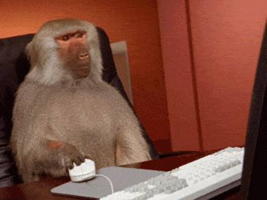 원숭이 컴퓨터 침팬지 마우스 키보드 클릭