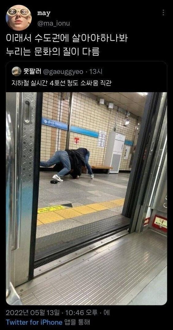 수도권 지하철 4호선 문화 질이 다름 청도 소싸움 직관