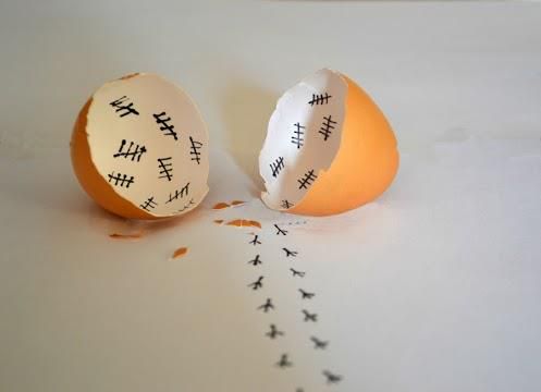 계란 부화 병아리 날짜 기록