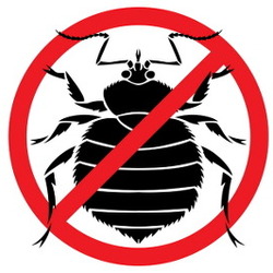 벌레 퇴치 표시 금지