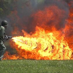 박멸   벌레  화염방사기 군대 군인 불 방사기 화염