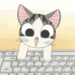 고양이 키보드 판사님 고양이가 리플 댓글 냥이