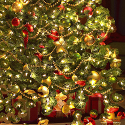 크리스마스 시즌 움짤 Christmas 겨울 tree 트리 나무 겨울 예쁜 반짝 선물