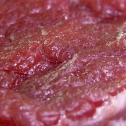 한국인의 밥상 소고기 사후경직 움직임 고기 육질 살아서 꿈틀