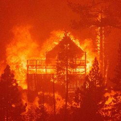 산불 불바다 불타는 집 대재앙 불