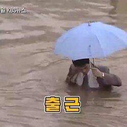 출근 90년대 강한자만 살아남던 시절 직장인 폭우 물난리 회사 출근길 우산