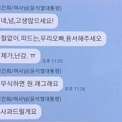 김건희 명태균 카톡 철없이 떠드는 우리오빠 용서 무식하면 원래그래요 제가 난감