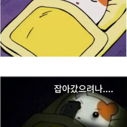 잡혀갔나 체포됐나 검거 윤석열 전국민 습관 체포 뭐 내일은 잡아가겠지