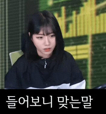 끄덕 들어보니 맞는말 동의 긍정 ㅇㅋ 맞아 - 오늘의짤방